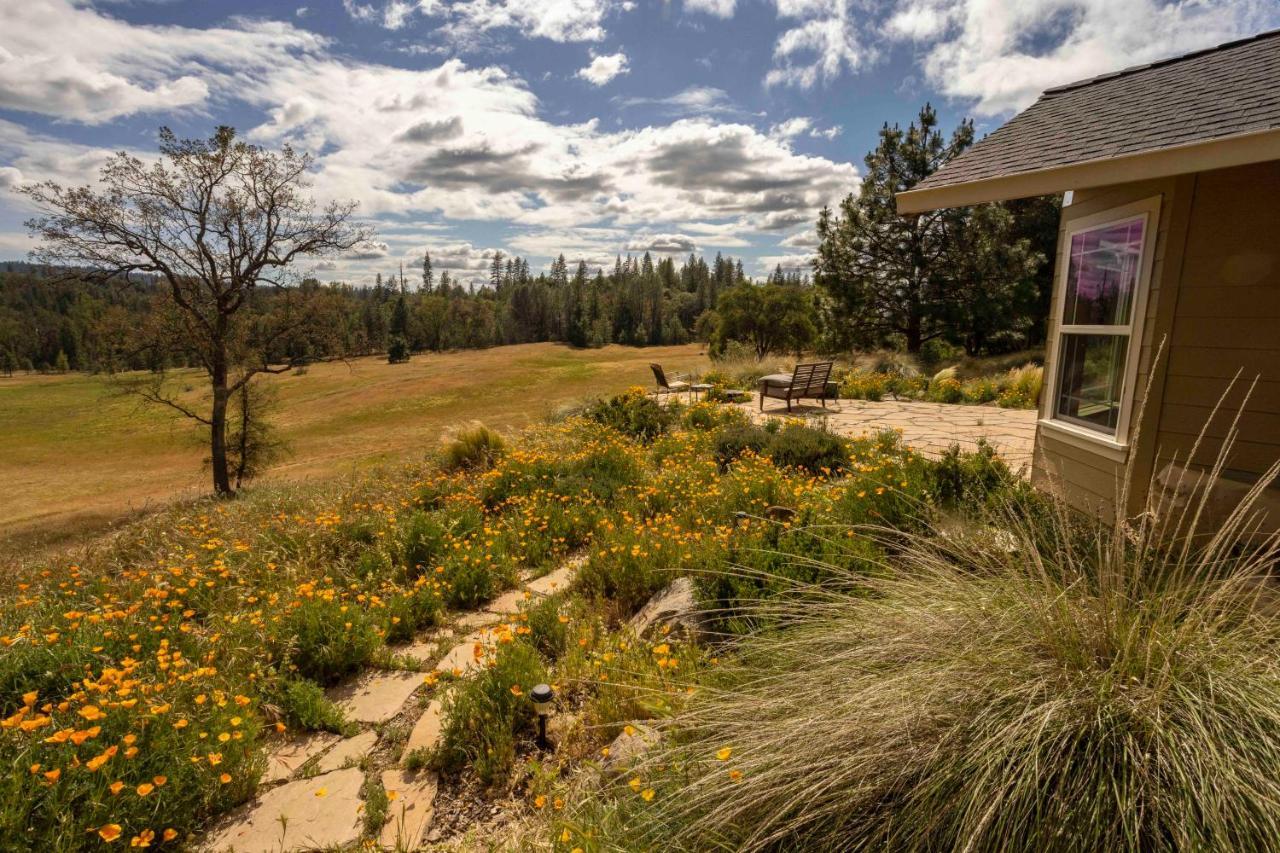 Red Tail Ranch Bed & Breakfast Groveland Eksteriør bilde