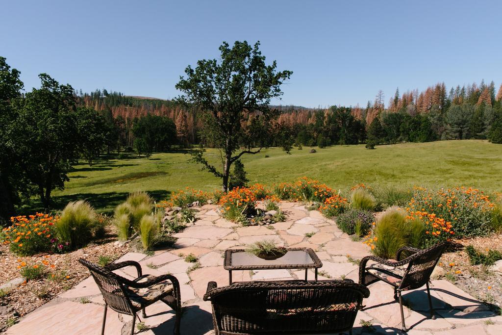 Red Tail Ranch Bed & Breakfast Groveland Eksteriør bilde
