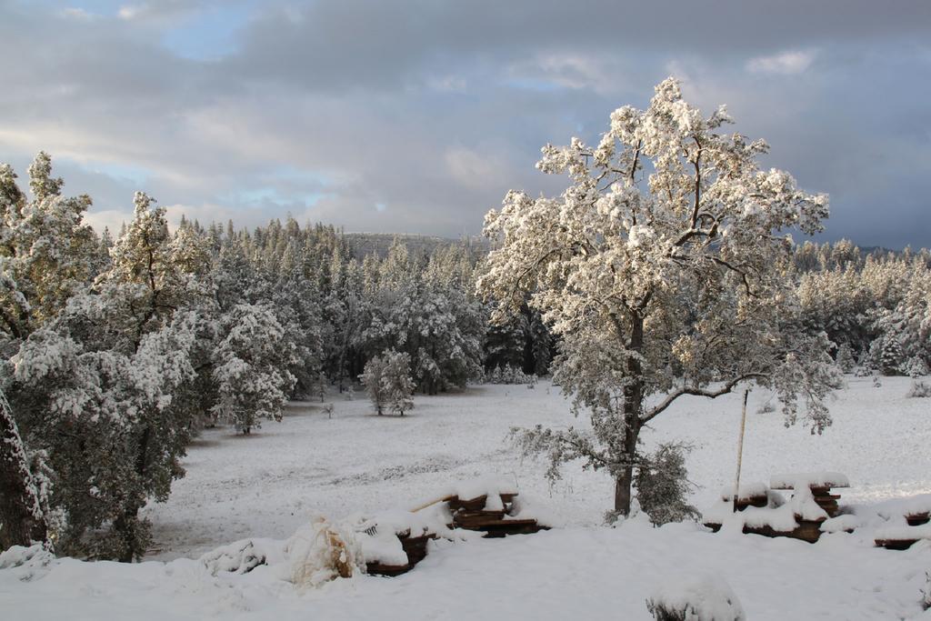 Red Tail Ranch Bed & Breakfast Groveland Eksteriør bilde